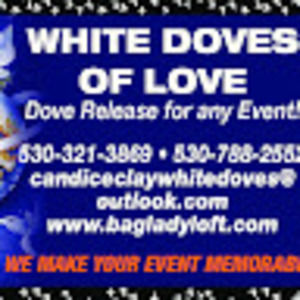 Meet your Posher, Candice